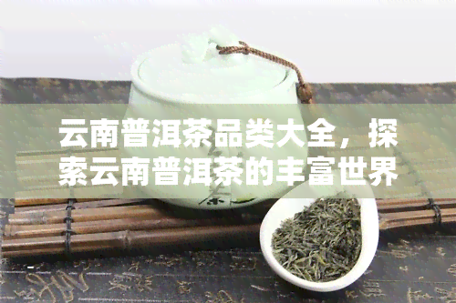 云南普洱茶品类大全，探索云南普洱茶的丰富世界：品类大全解析