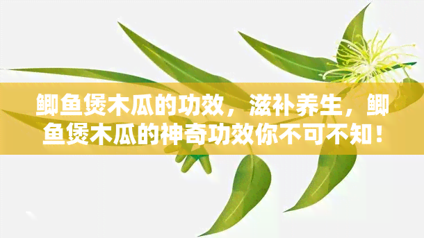 鲫煲木瓜的功效，滋补养生，鲫煲木瓜的神奇功效你不可不知！