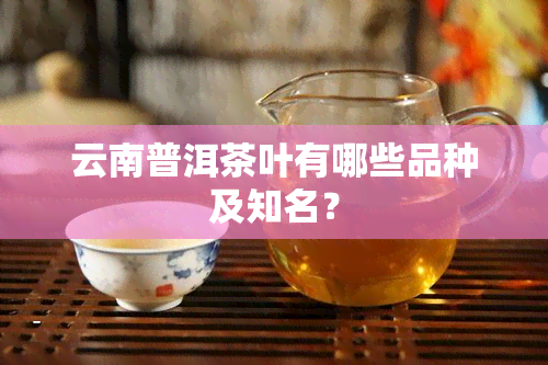 云南普洱茶叶有哪些品种及知名？