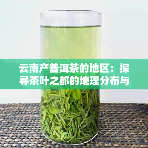 云南产普洱茶的地区：探寻茶叶之都的地理分布与文化特色