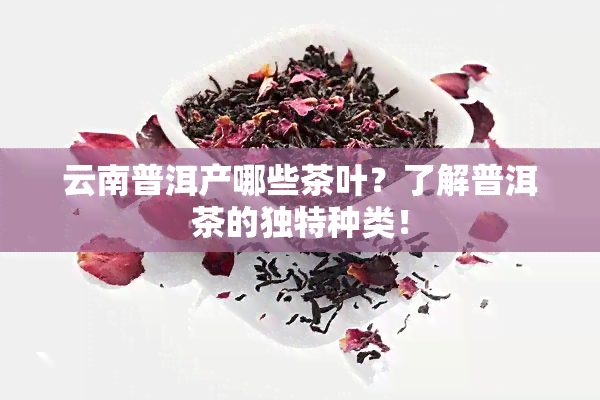 云南普洱产哪些茶叶？了解普洱茶的独特种类！