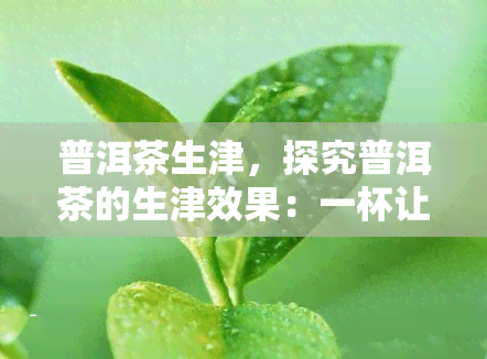 普洱茶生津，探究普洱茶的生津效果：一杯让你口舌生津的好茶