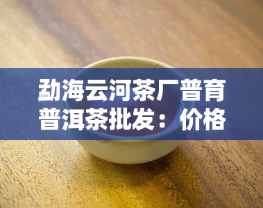 勐海云河茶厂普育普洱茶批发：价格、直营店信息全览