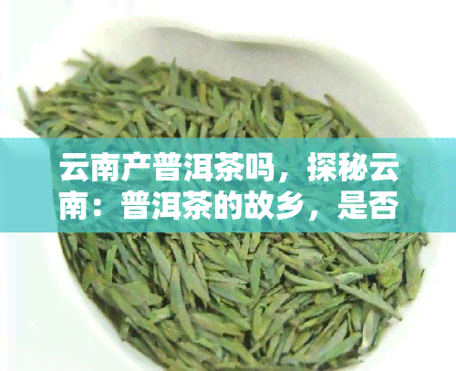 云南产普洱茶吗，探秘云南：普洱茶的故乡，是否产优质普洱？