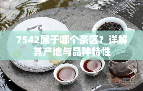 7542属于哪个茶区？详解其产地与品种特性