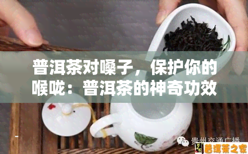 普洱茶对嗓子，保护你的喉咙：普洱茶的神奇功效