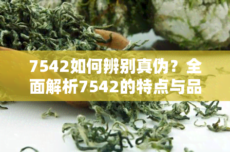 7542如何辨别真伪？全面解析7542的特点与品质