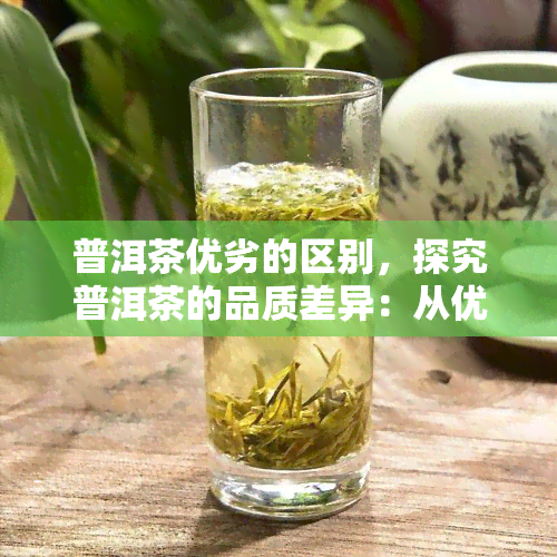 普洱茶优劣的区别，探究普洱茶的品质差异：从优质到低劣的全面解析