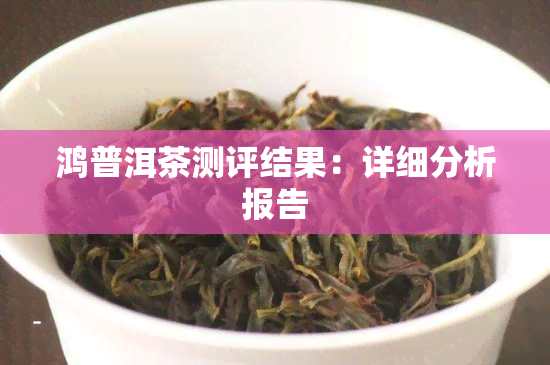 鸿普洱茶测评结果：详细分析报告