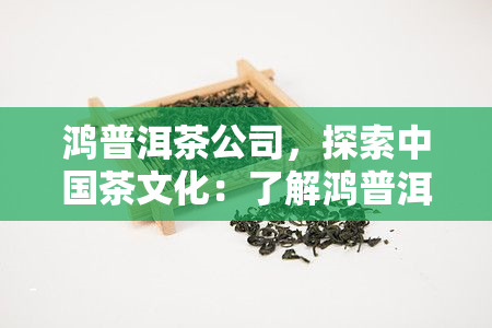 鸿普洱茶公司，探索中国茶文化：了解鸿普洱茶公司的独特之处