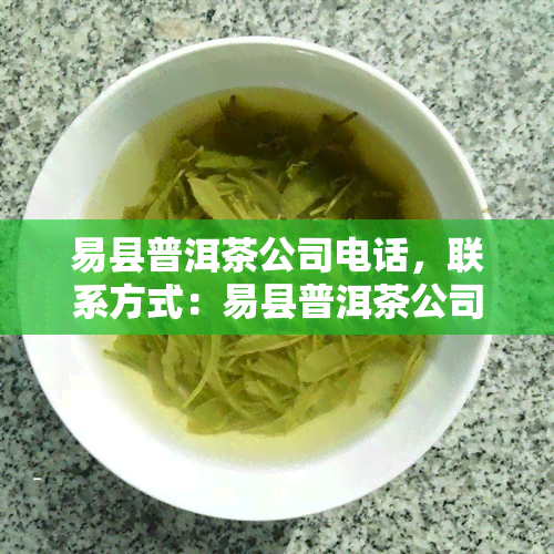 易县普洱茶公司电话，联系方式：易县普洱茶公司的联系电话是多少？