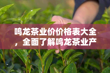 鸣龙茶业价价格表大全，全面了解鸣龙茶业产品价格：最新价格表大全