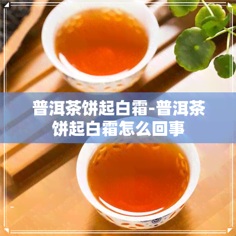 普洱茶饼起白霜-普洱茶饼起白霜怎么回事