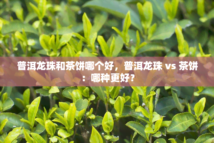 普洱龙珠和茶饼哪个好，普洱龙珠 vs 茶饼：哪种更好？