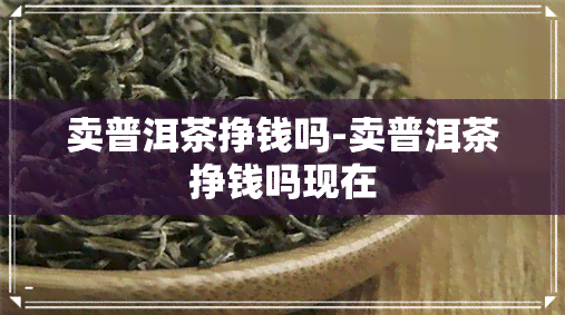 卖普洱茶挣钱吗-卖普洱茶挣钱吗现在