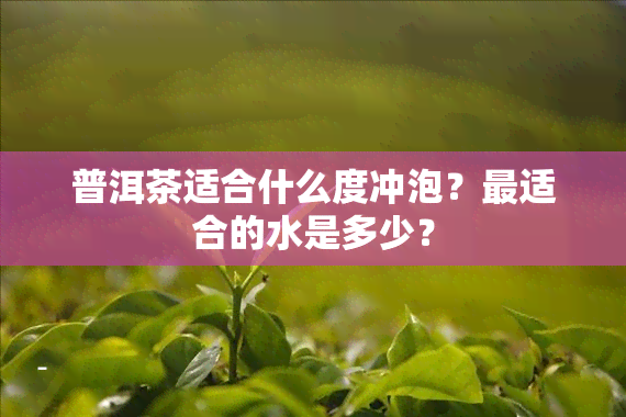 普洱茶适合什么度冲泡？最适合的水是多少？