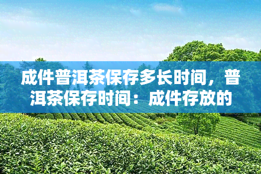 成件普洱茶保存多长时间，普洱茶保存时间：成件存放的期限是多久？