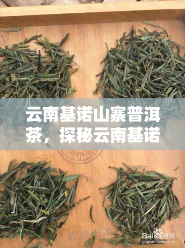 云南基诺山寨普洱茶，探秘云南基诺山：品味独特普洱茶的美妙之旅