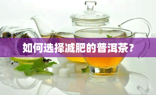 如何选择减肥的普洱茶？