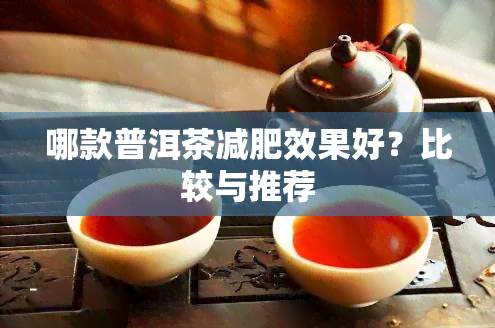 哪款普洱茶减肥效果好？比较与推荐