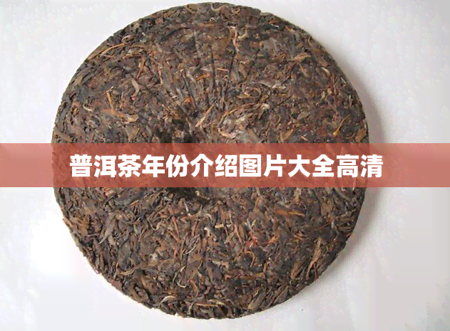 普洱茶年份介绍图片大全高清