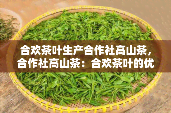 合欢茶叶生产合作社高山茶，合作社高山茶：合欢茶叶的优质之选