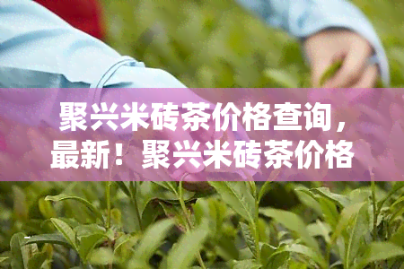 聚兴米砖茶价格查询，最新！聚兴米砖茶价格全解析