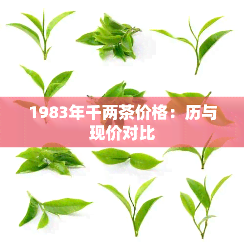 1983年千两茶价格：历与现价对比