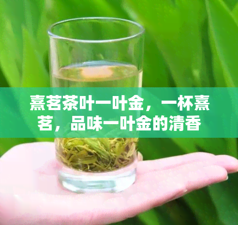 熹茗茶叶一叶金，一杯熹茗，品味一叶金的清香