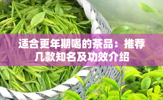 适合更年期喝的茶品：推荐几款知名及功效介绍