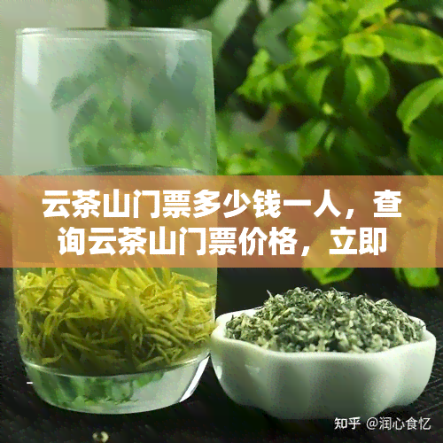 云茶山门票多少钱一人，查询云茶山门票价格，立即了解单人票价！