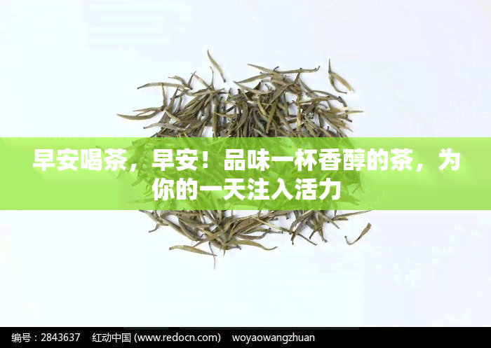 早安喝茶，早安！品味一杯香醇的茶，为你的一天注入活力