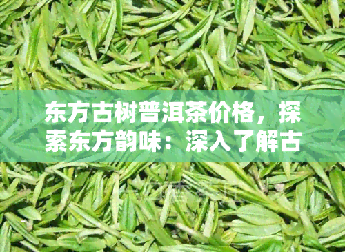 东方古树普洱茶价格，探索东方韵味：深入了解古树普洱茶的价格与品质