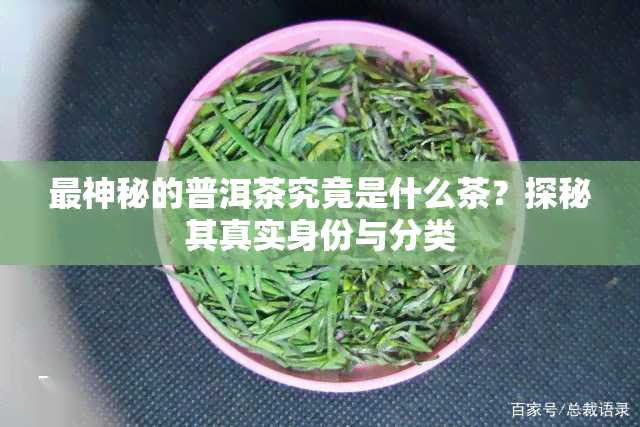 最神秘的普洱茶究竟是什么茶？探秘其真实身份与分类