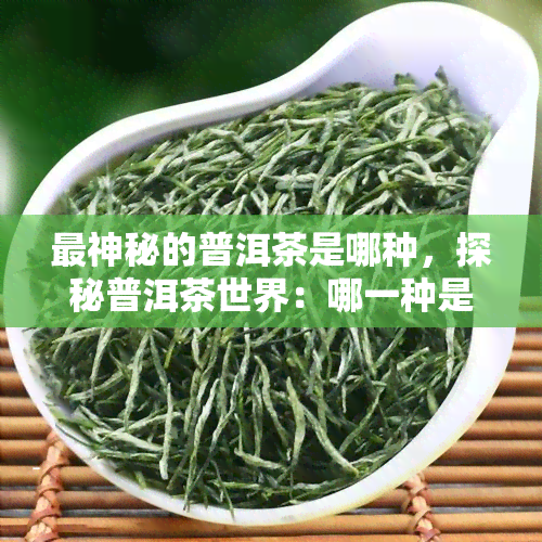 最神秘的普洱茶是哪种，探秘普洱茶世界：哪一种是最神秘的存在？