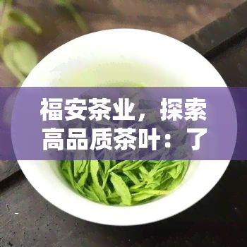 福安茶业，探索高品质茶叶：了解福安茶业