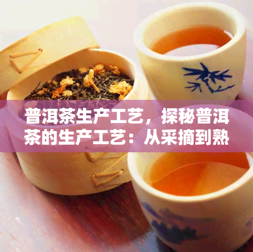 普洱茶生产工艺，探秘普洱茶的生产工艺：从采摘到熟化的过程解析