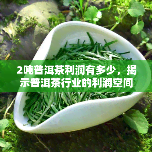 2吨普洱茶利润有多少，揭示普洱茶行业的利润空间：2吨茶叶究竟能赚多少钱？