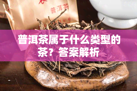 普洱茶属于什么类型的茶？答案解析