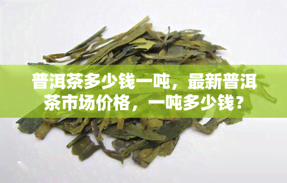 普洱茶多少钱一吨，最新普洱茶市场价格，一吨多少钱？