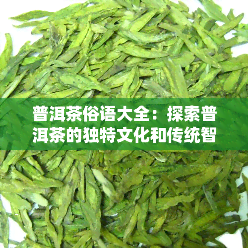 普洱茶俗语大全：探索普洱茶的独特文化和传统智慧