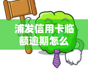 浦发信用卡临额逾期怎么办，浦发信用卡临时额度逾期处理方法