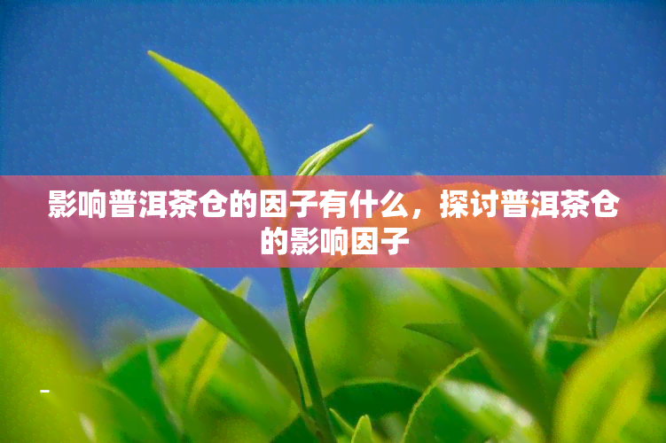 影响普洱茶仓的因子有什么，探讨普洱茶仓的影响因子