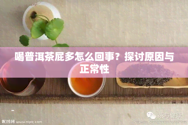 喝普洱茶屁多怎么回事？探讨原因与正常性