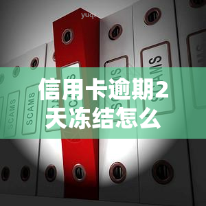 信用卡逾期2天冻结怎么办，信用卡逾期两天被冻结？怎么办？