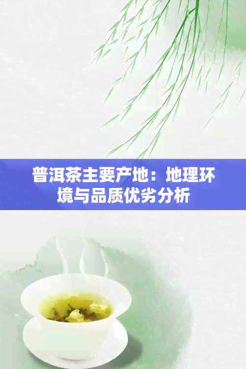 普洱茶主要产地：地理环境与品质优劣分析