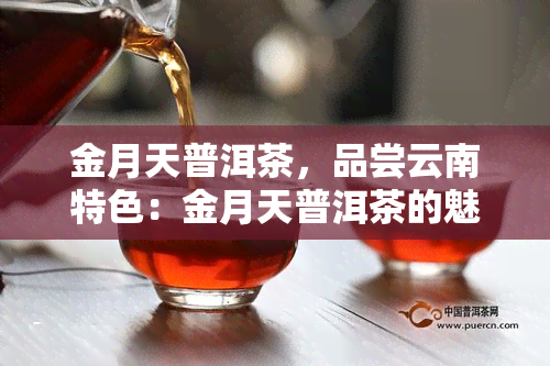 金月天普洱茶，品尝云南特色：金月天普洱茶的魅力与风味