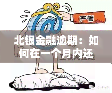 北银金融逾期：如何在一个月内还款？