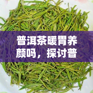 普洱茶暖胃养颜吗，探讨普洱茶的暖胃养颜功效