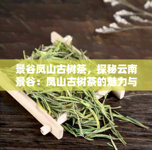 景谷凤山古树茶，探秘云南景谷：凤山古树茶的魅力与历